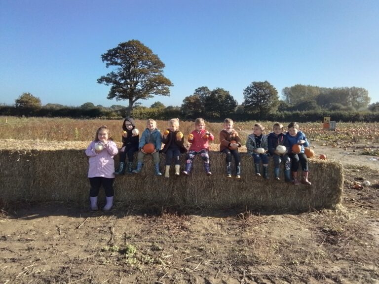 Pumpkin Picking